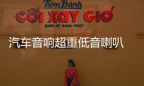 汽车音响超重低音喇叭 丹麦10寸低音喇叭12寸重低音炮双磁双音圈