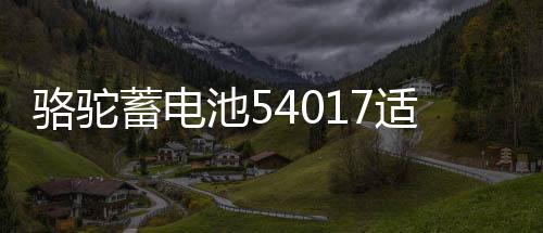 骆驼蓄电池54017适用比亚迪F012V40AHF0适配电瓶专用配套汽车电瓶