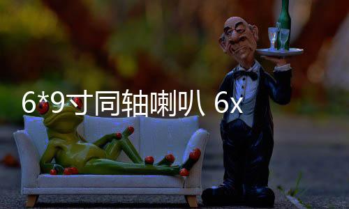 6*9寸同轴喇叭 6x9汽车音响 车载喇叭 汽车喇叭全频重低音椭圆形