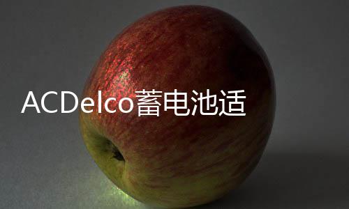 ACDelco蓄电池适配进口福特锐界探险者猛禽F150原装电瓶汽车电瓶